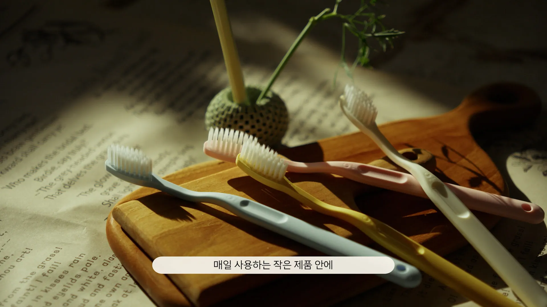 에코패밀리 스틸컷 3