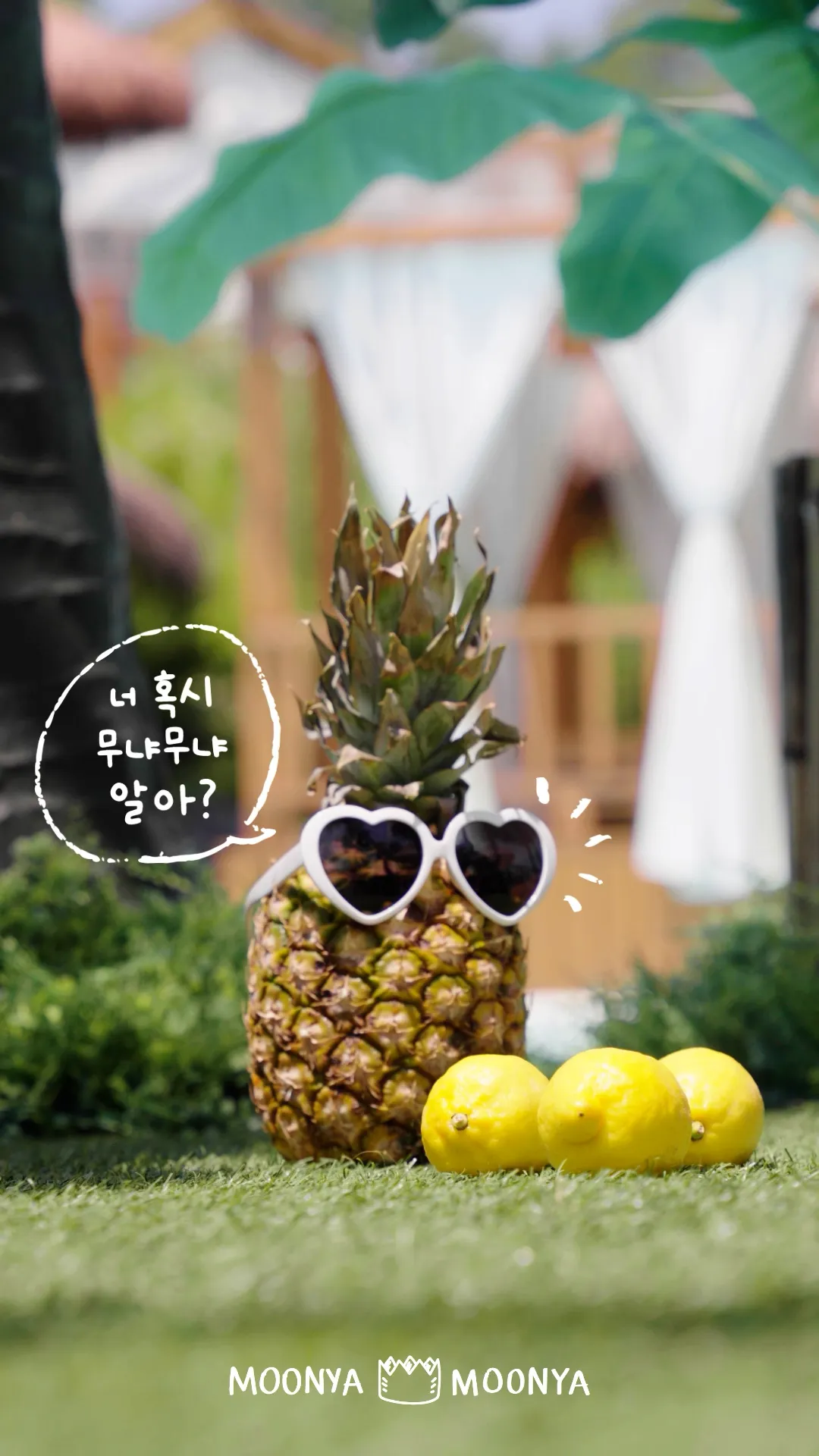 Moonya Moonya 2024 S/S Summer Collection 스틸컷 4