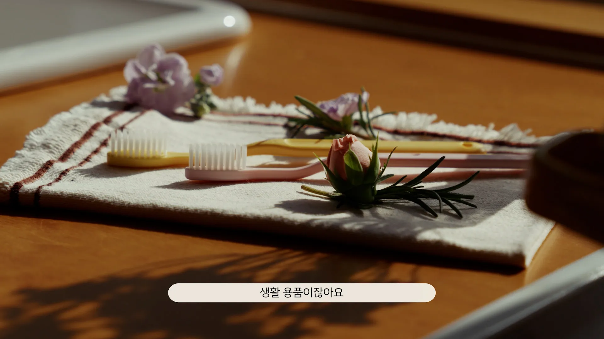 에코패밀리 스틸컷 5